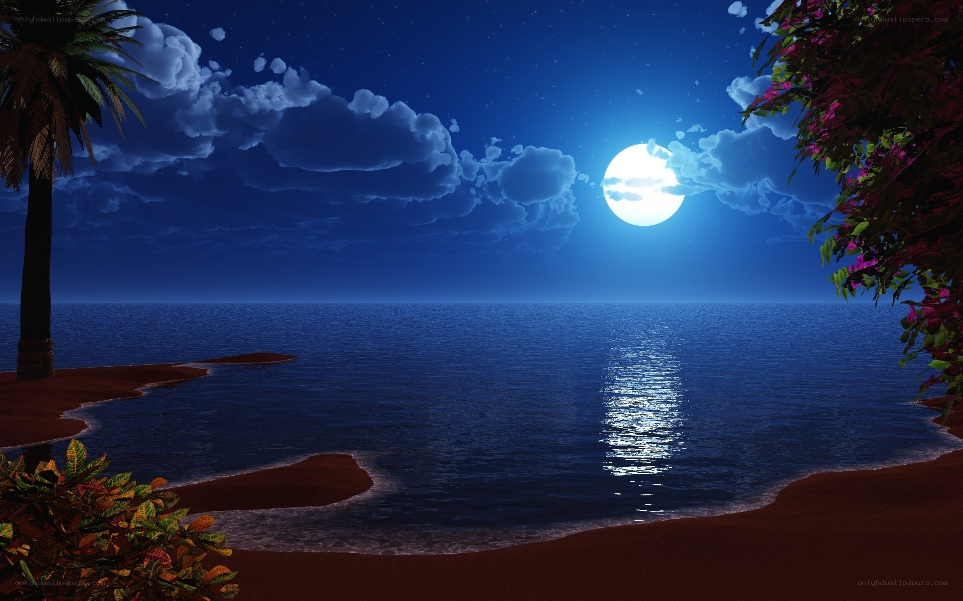 Moonlit beach at night