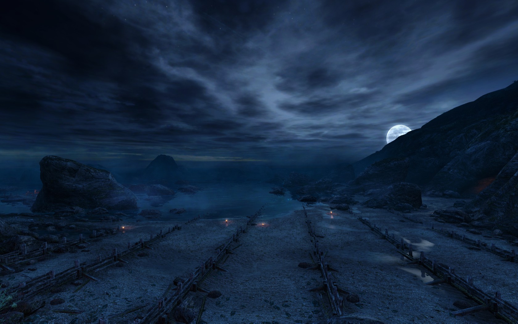 moonlit beach at night