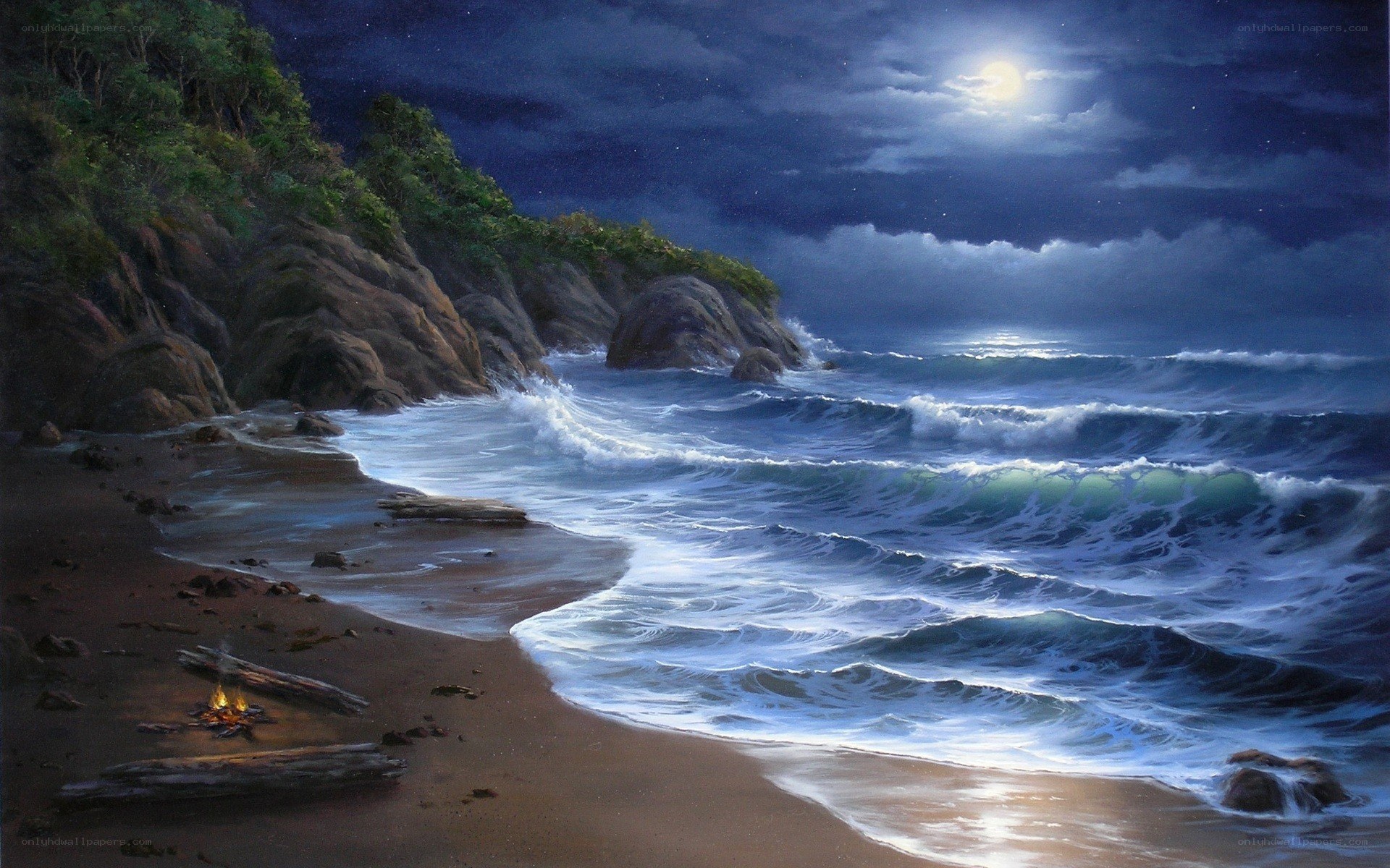 Moonlit beach at night