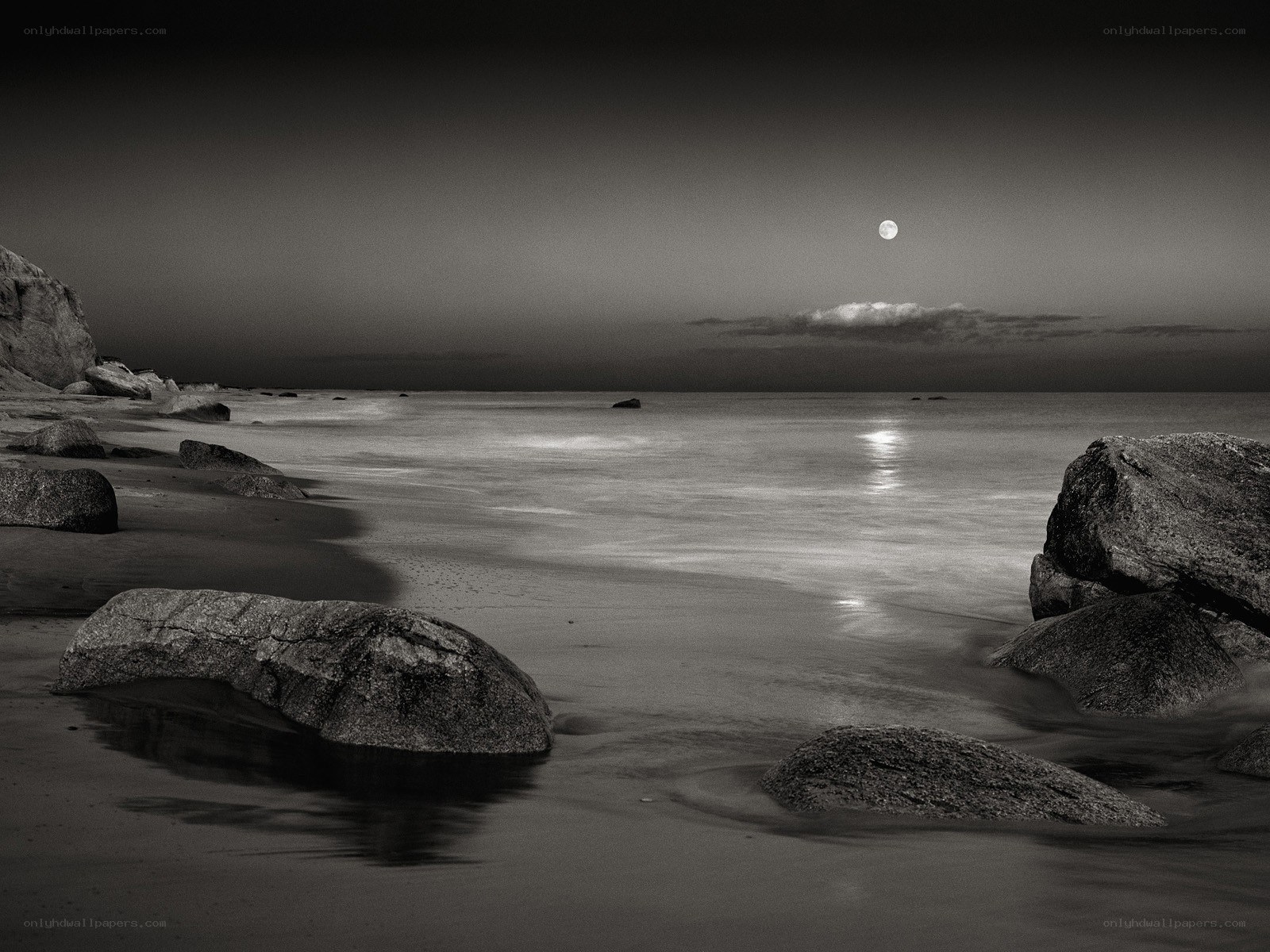 Moonlit beach at night