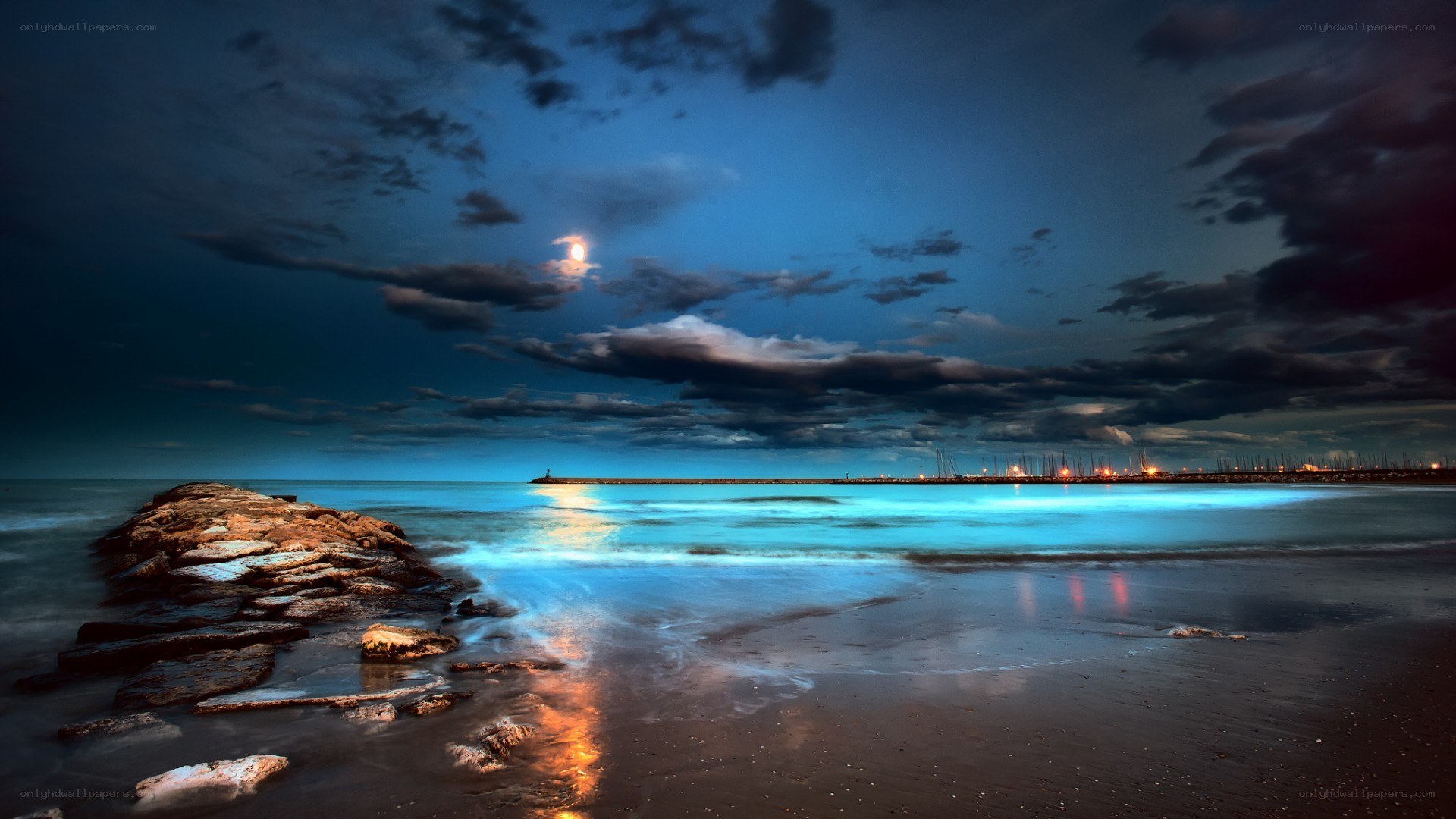 Moonlit beach at night