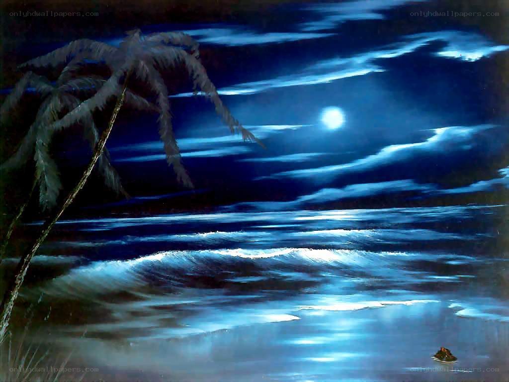 Moonlit beach at night