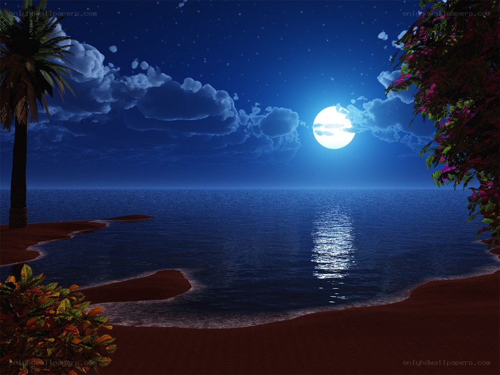 Moonlit beach at night