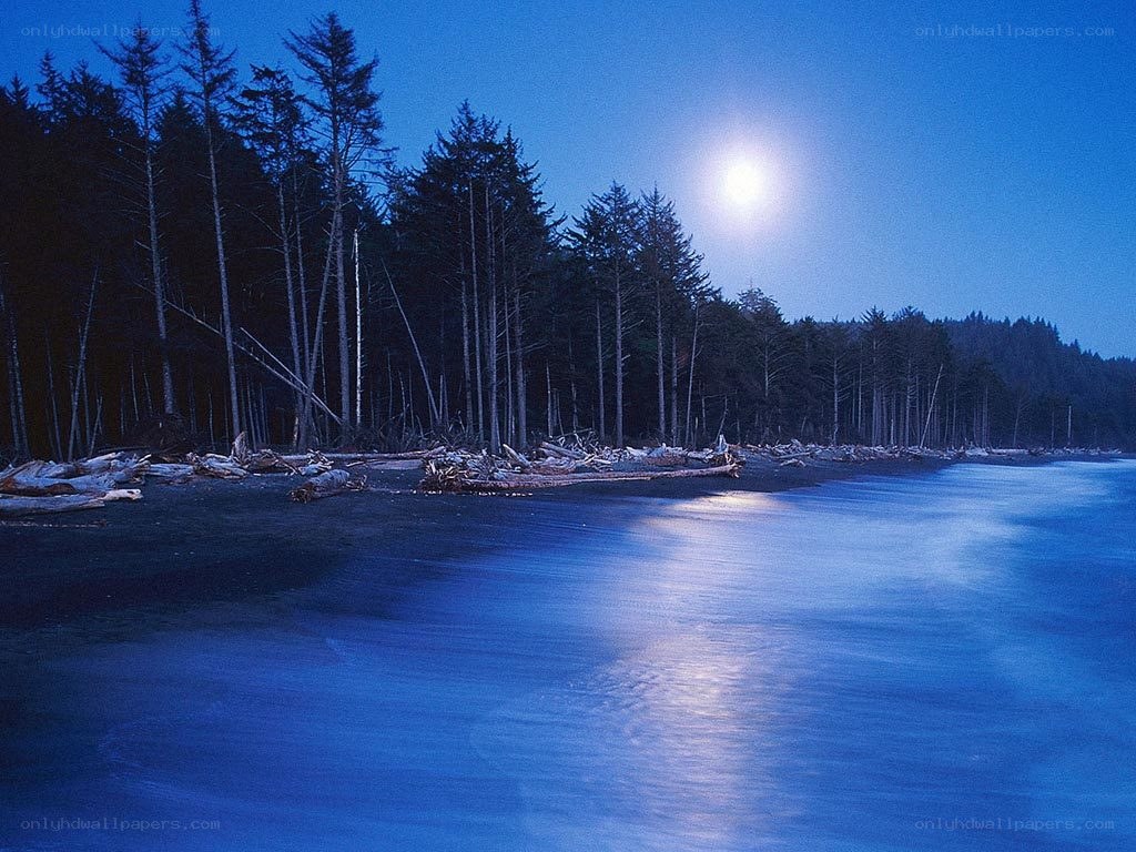 Moonlit beach at night
