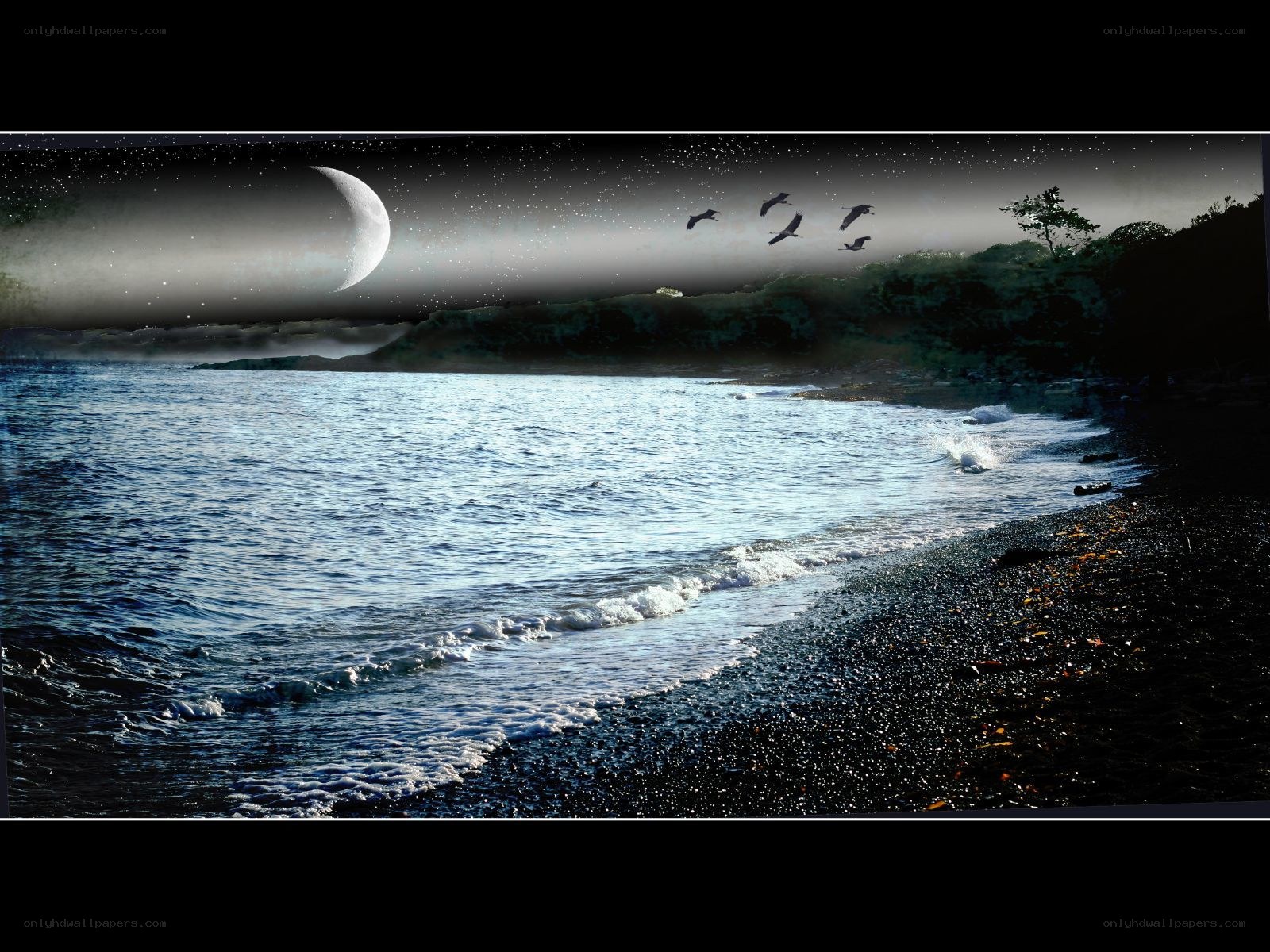 Moonlit beach at night