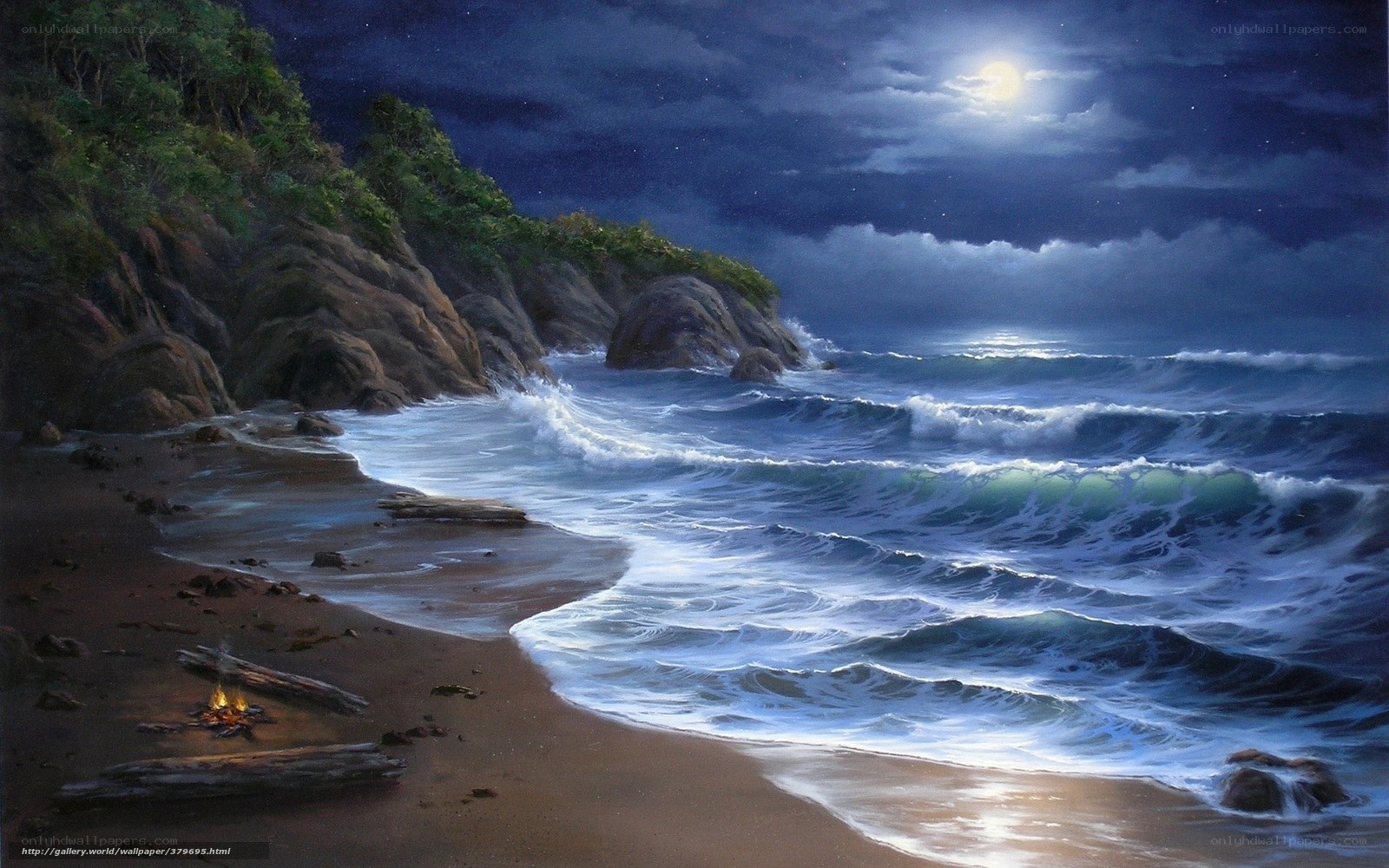 Moonlit beach at night