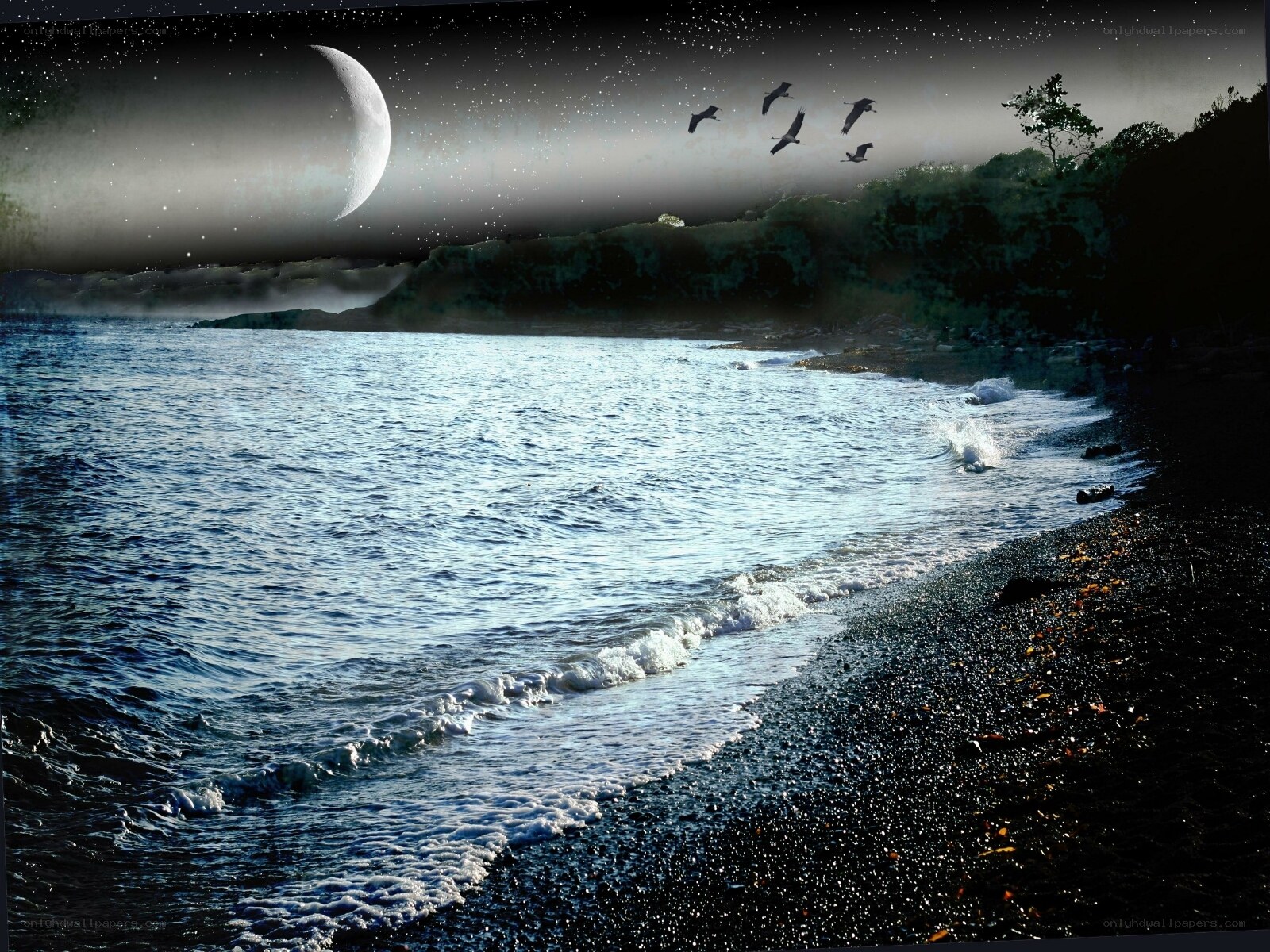 Moonlit beach at night