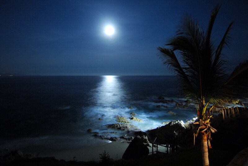 Moonlit beach at night