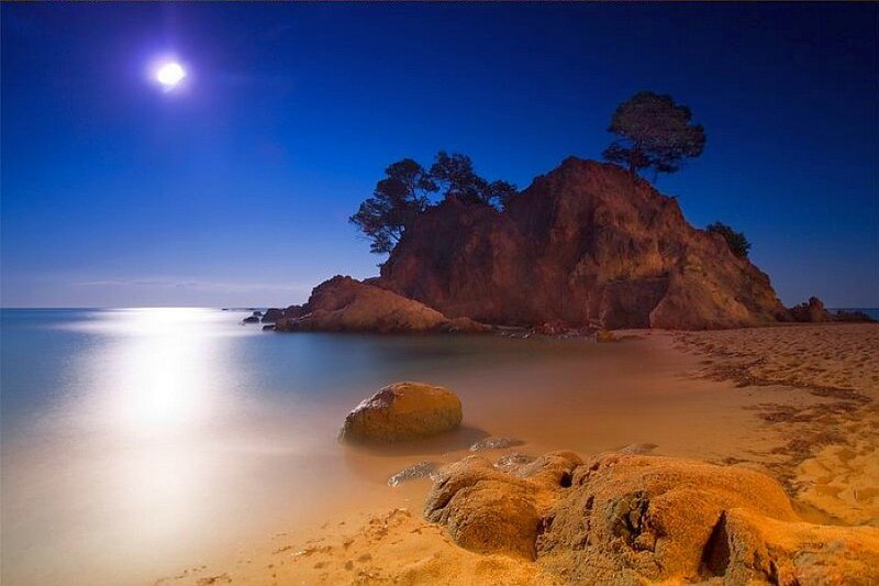 Moonlit beach at night