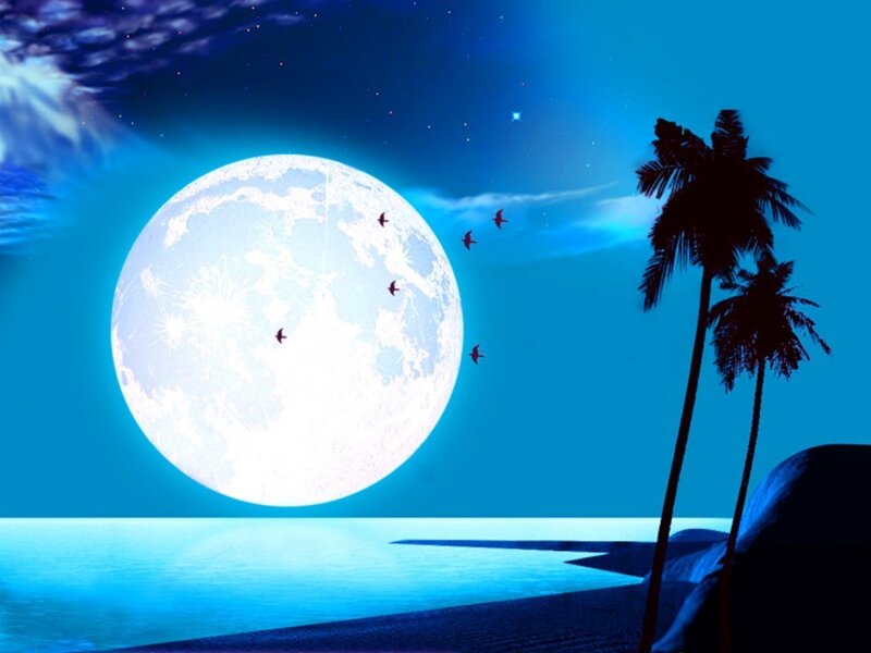 Moonlit beach at night