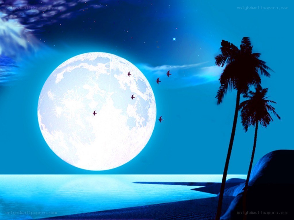 Moonlit beach at night