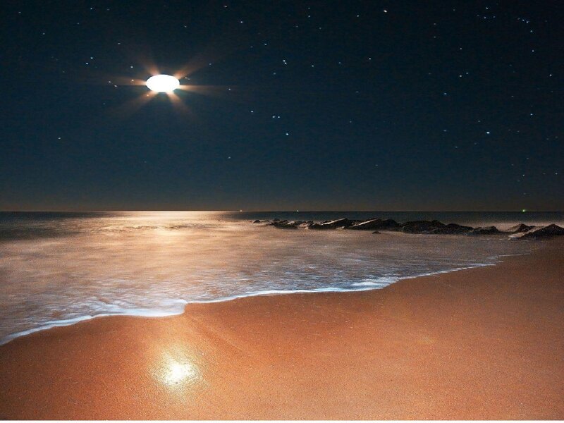Moonlit Beach at Night — Black, Serene