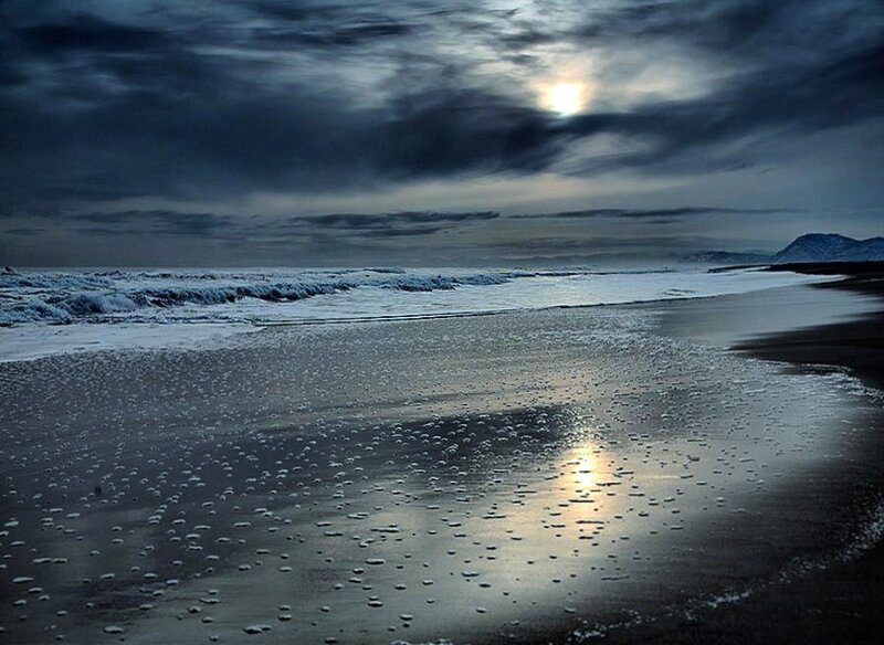 Moonlit Beach at Night — Blue, Dramatic, Photograph, Ocean
