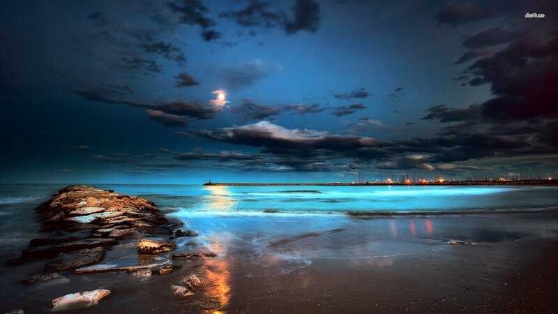 Moonlit Beach at Night — Blue, Dramatic