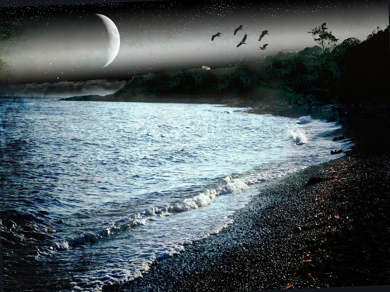 Moonlit Beach at Night — Blue, Serene, Digital Art, Moon, Birds