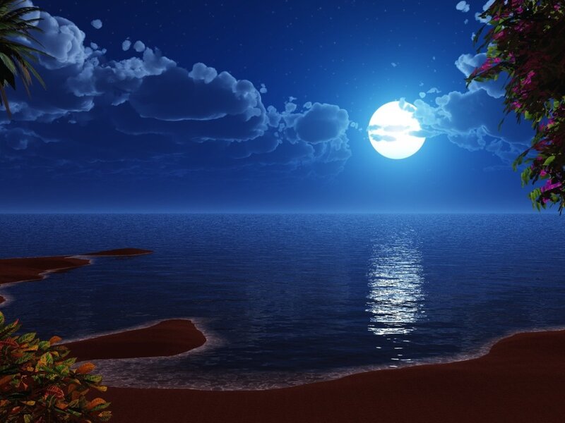 Moonlit Beach at Night — Blue, Serene, Digital Art, Moon, Ocean