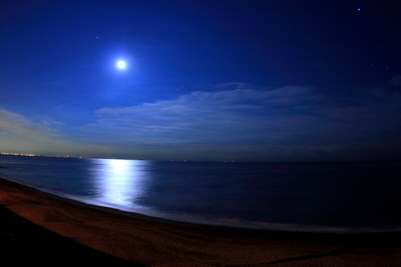 Moonlit Beach at Night — Blue, Serene, Photograph, Moon