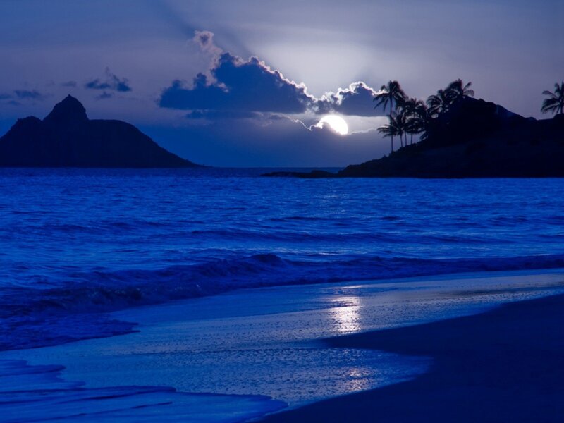 Moonlit Beach at Night — Blue, Serene, Photograph, Ocean