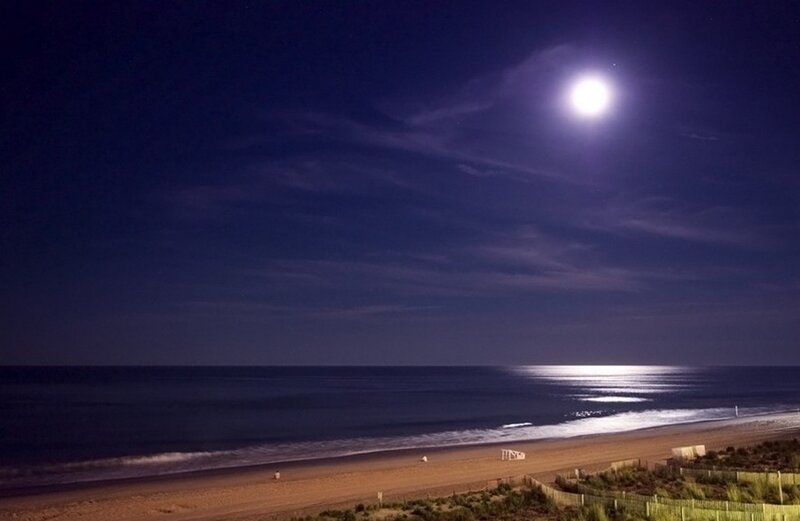 Moonlit Beach at Night — Blue, Serene, Photograph