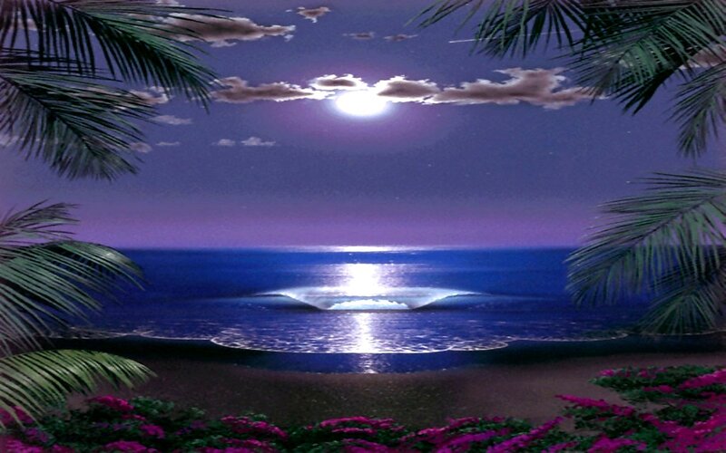 Moonlit Beach at Night — Purple