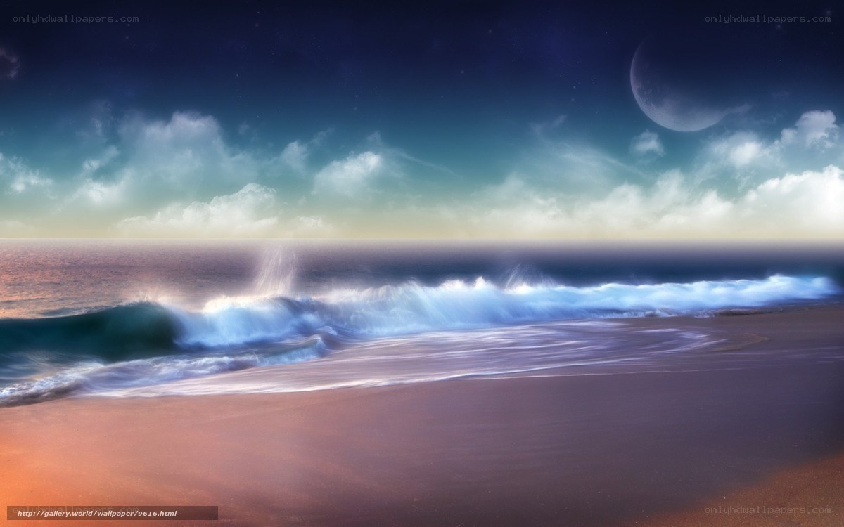 Moonlit beach at night