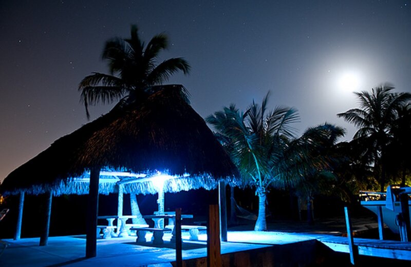 Moonlit beach hut at night