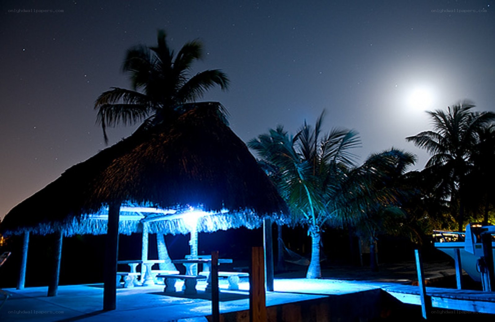 Moonlit beach hut at night
