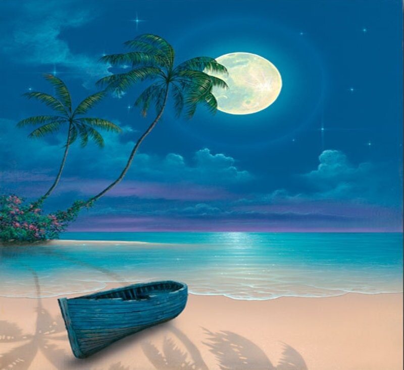Moonlit beach with boat