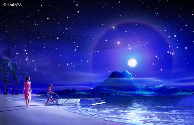 Moonlit beach with couple