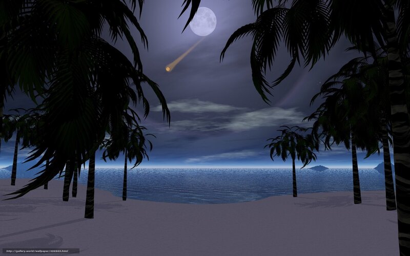Moonlit beach with meteor