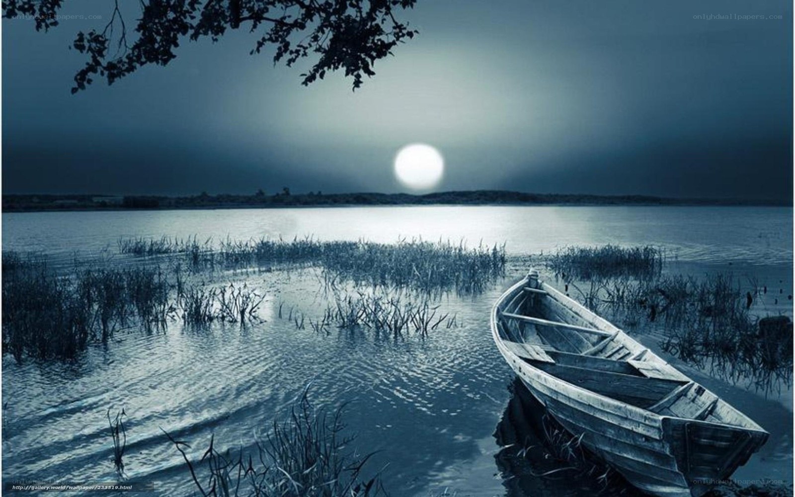 Moonlit boat on a calm lake