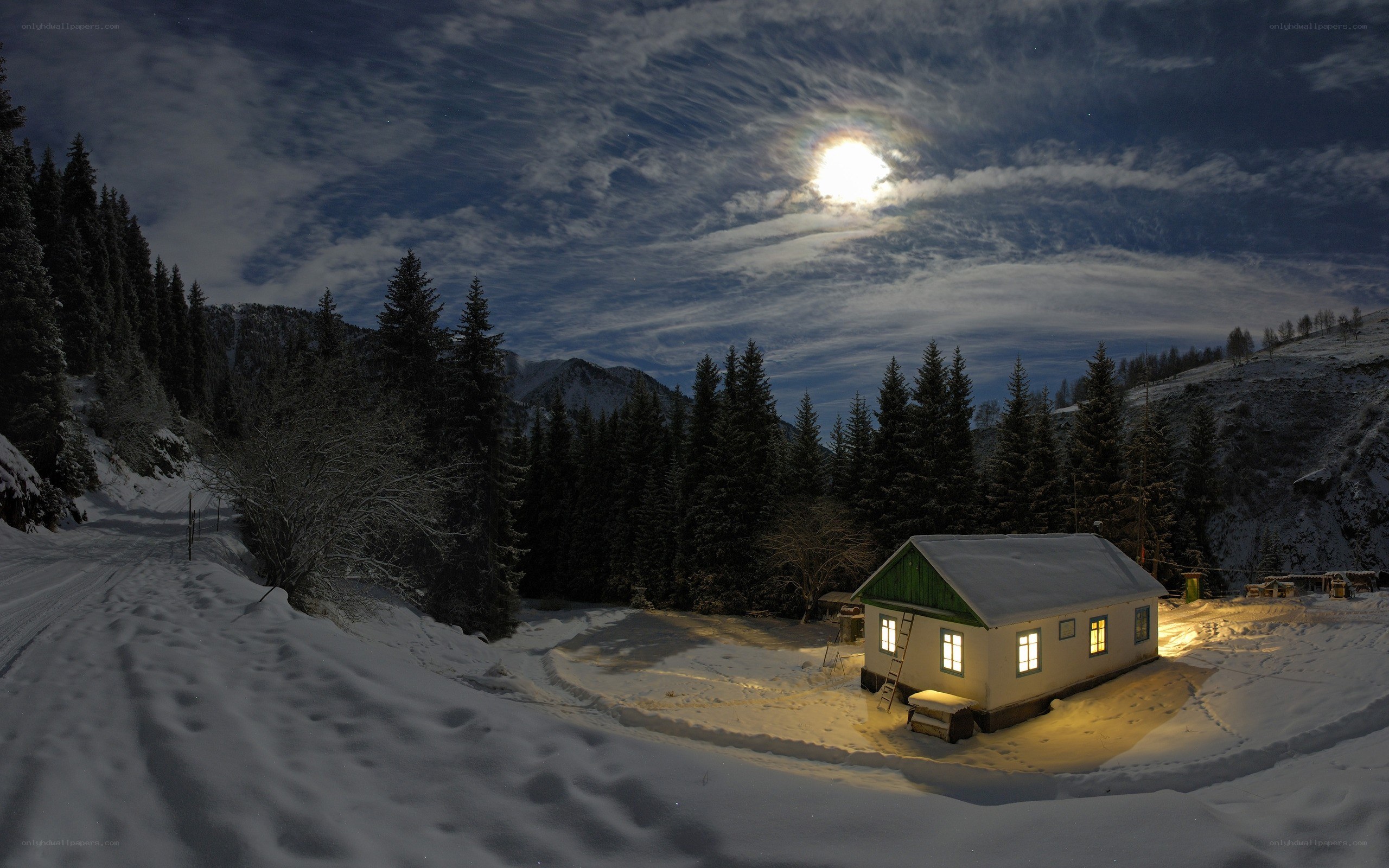 Moonlit cabin in snowy forest
