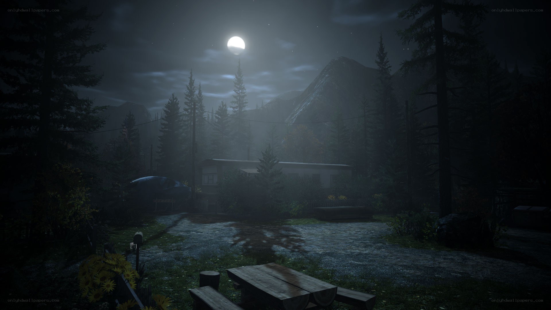 Moonlit cabin in the woods