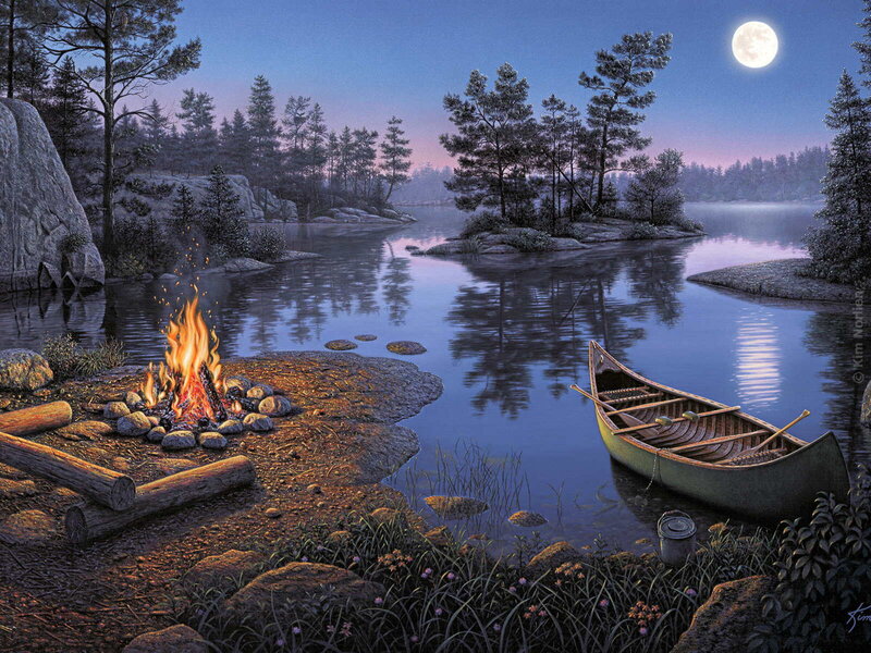 Moonlit campfire by the lake