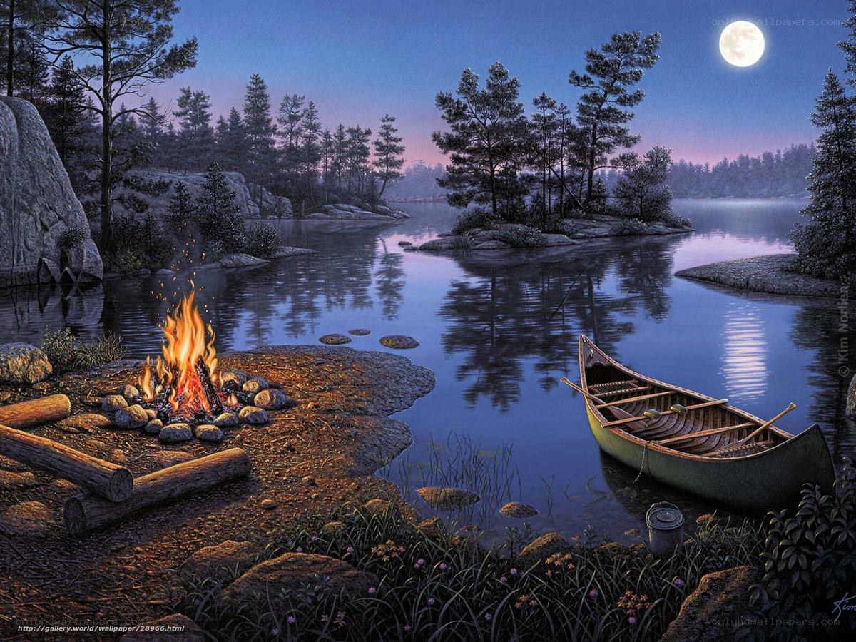 Moonlit campfire by the lake