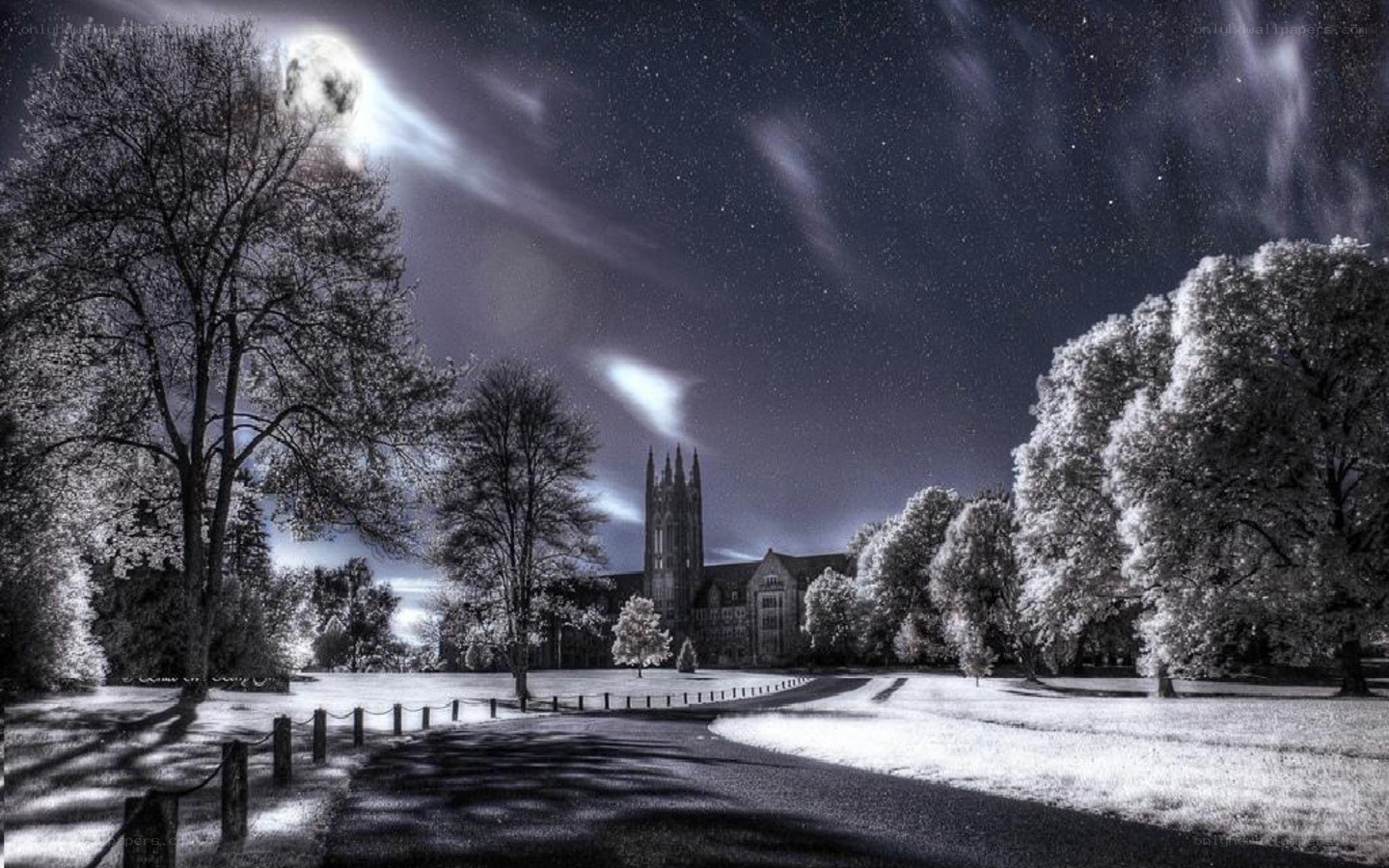 Moonlit campus at night