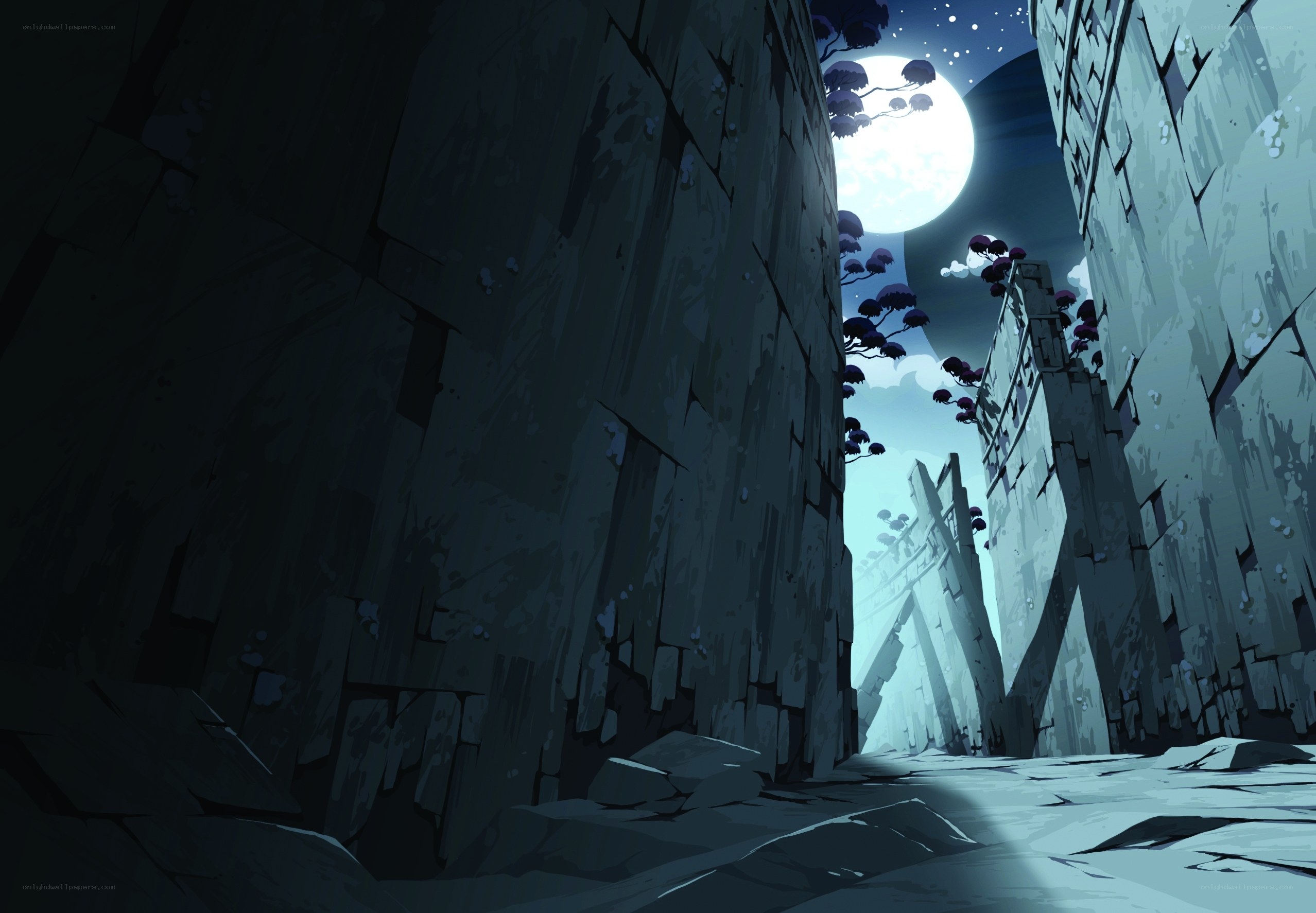 moonlit canyon path