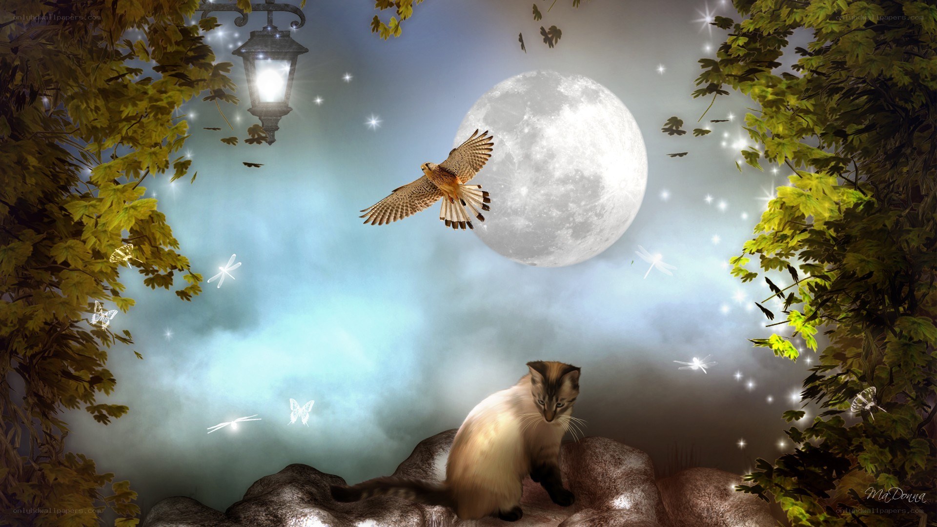Moonlit cat and bird scene