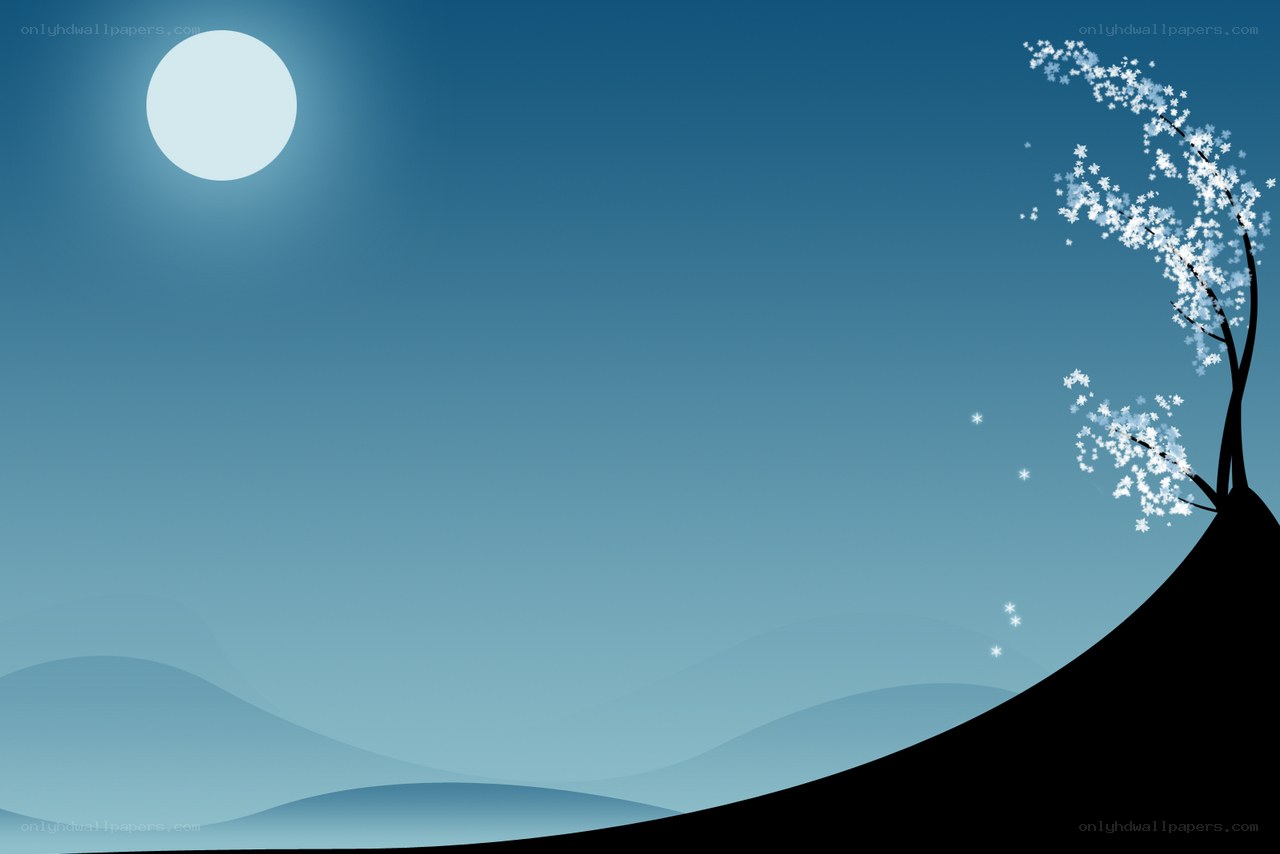 moonlit cherry blossom night