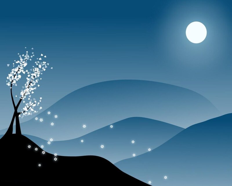 Moonlit cherry blossom night