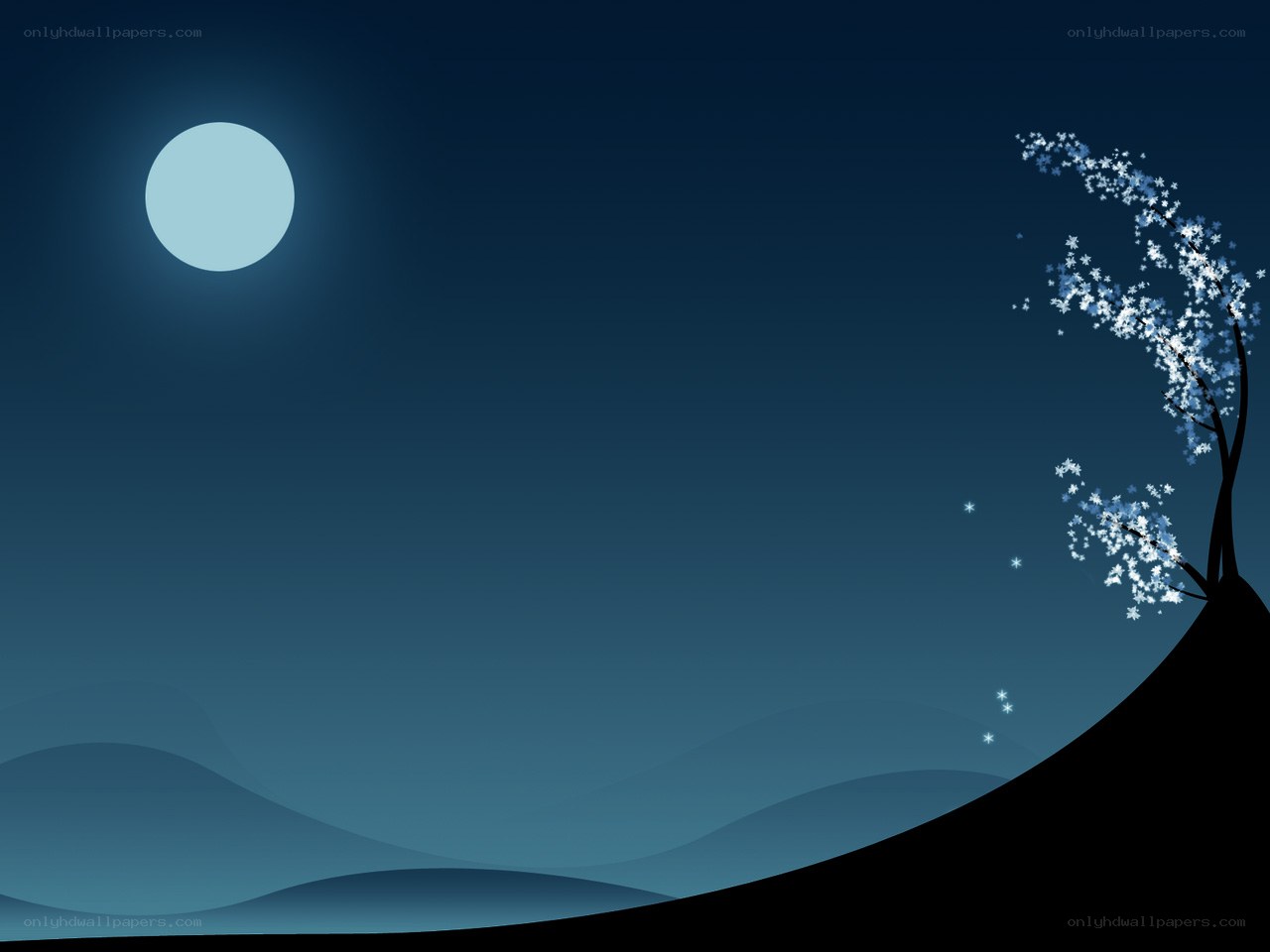 Moonlit cherry blossom night
