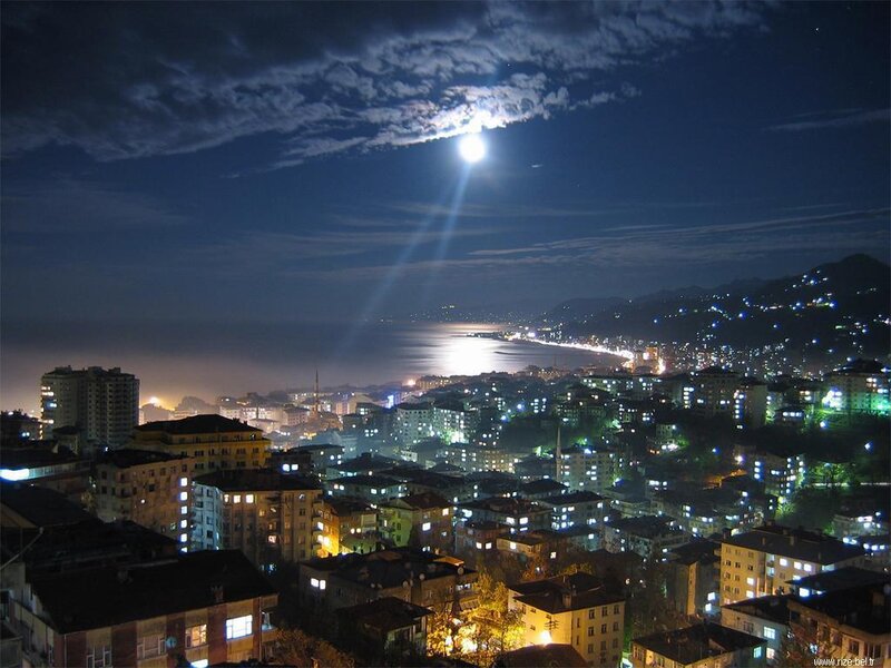 Moonlit city by the sea