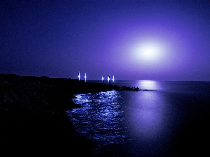 Moonlit coast at night