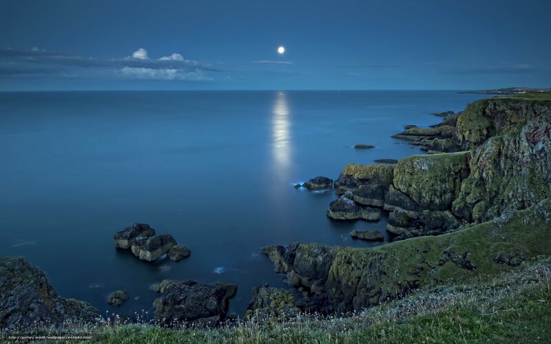 Moonlit coastal cliffs at night