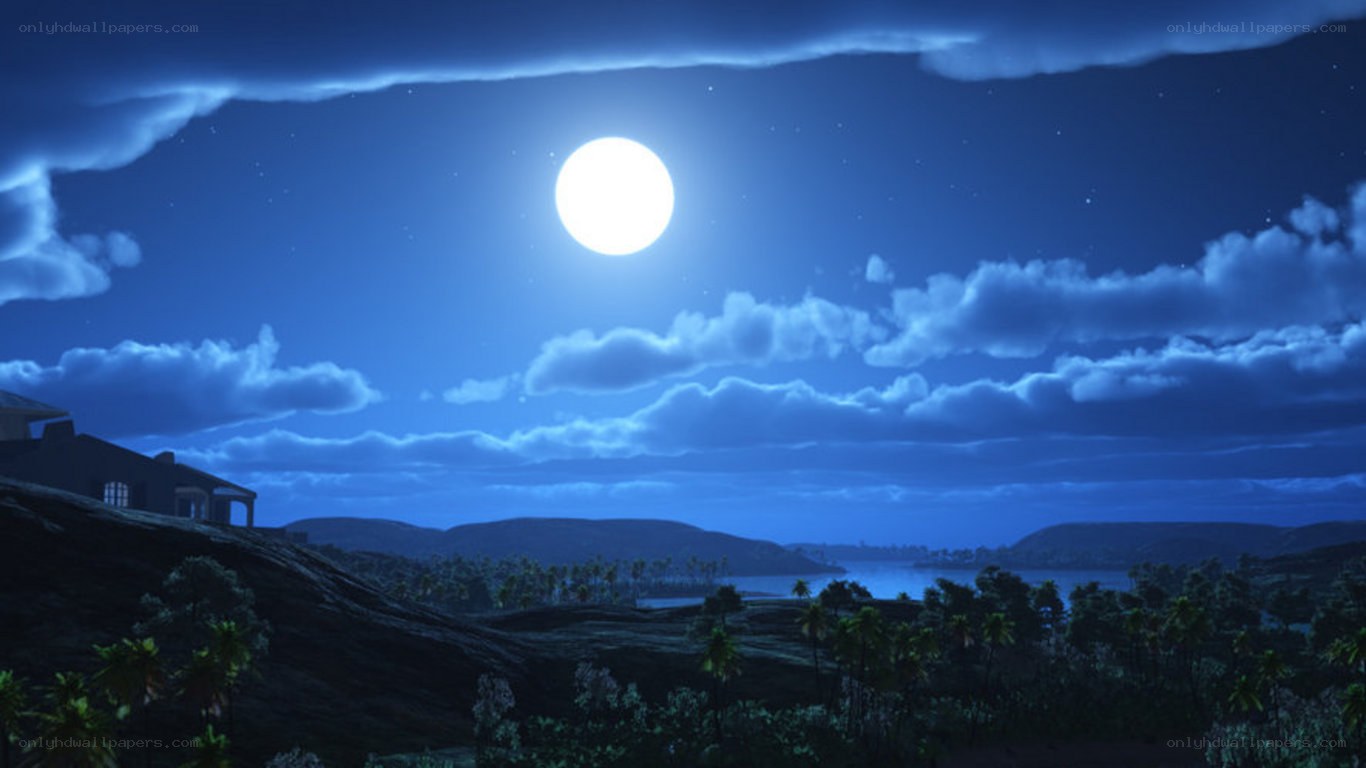 Moonlit coastal landscape