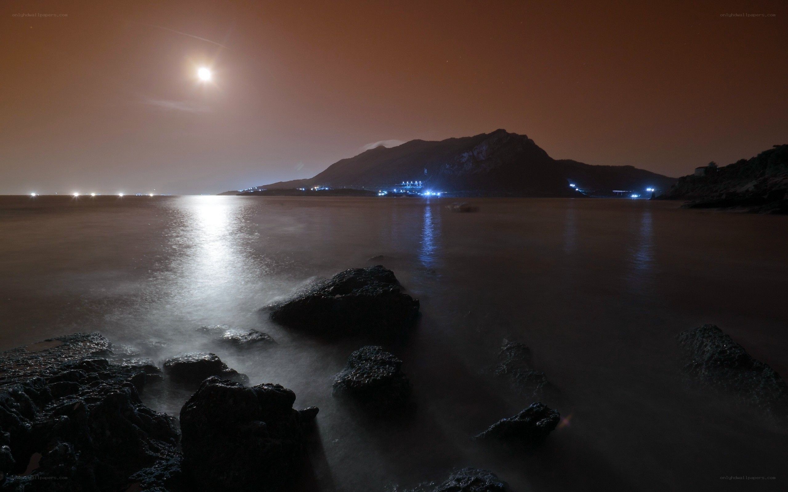 Moonlit coastal night scene