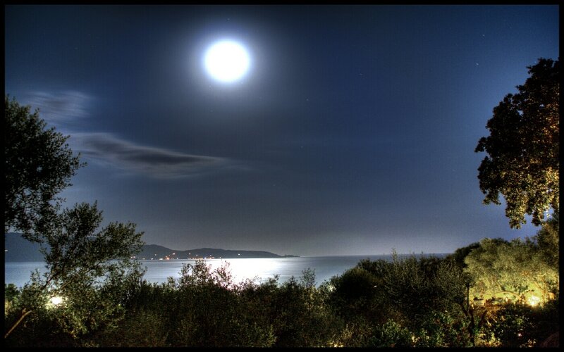 Moonlit coastal night scene