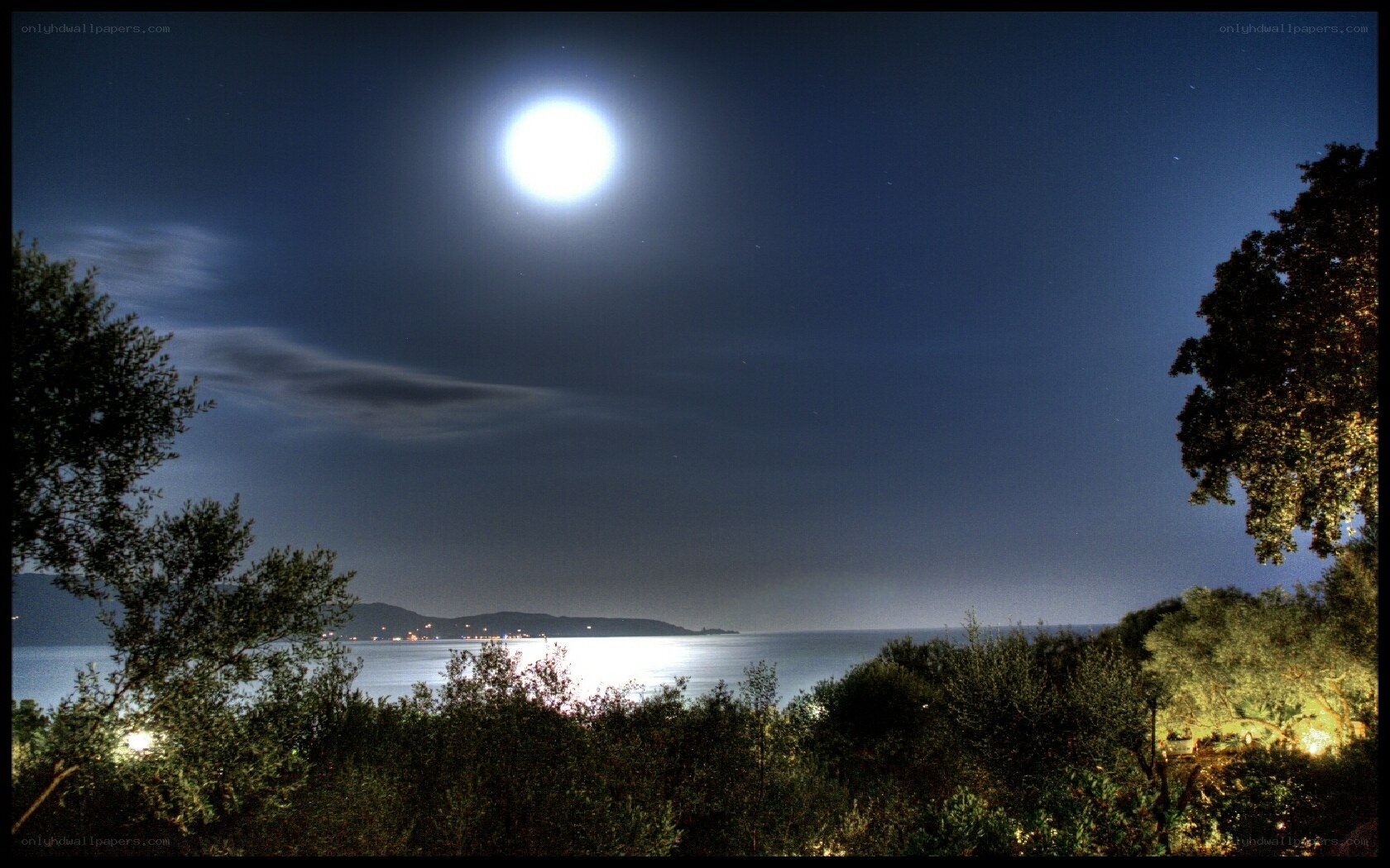 Moonlit coastal night scene