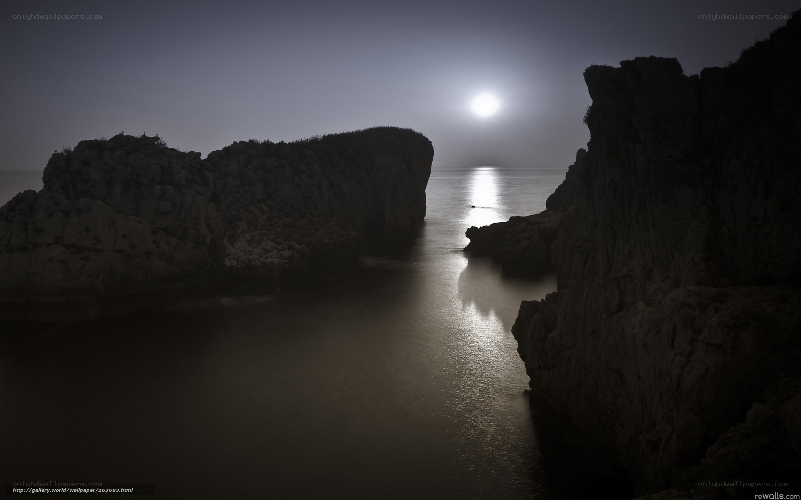 Moonlit coastal rocks at night