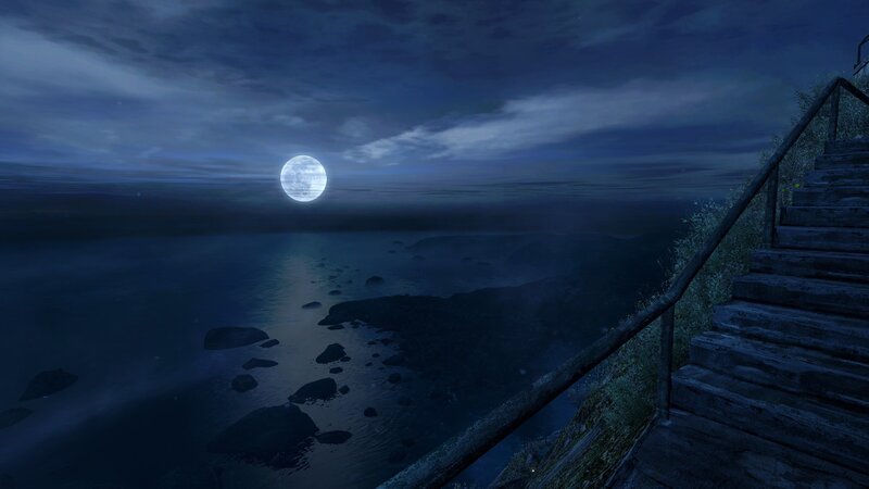 Moonlit Coastal View